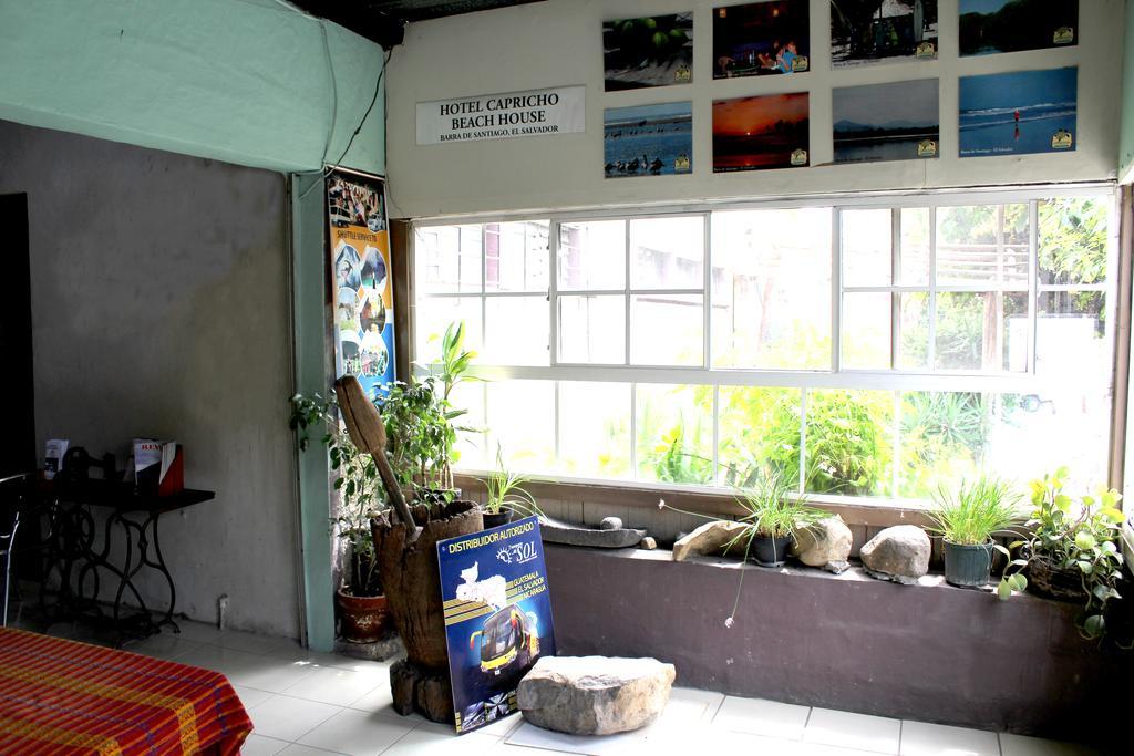 Ximenas Guest House San Salvador Extérieur photo