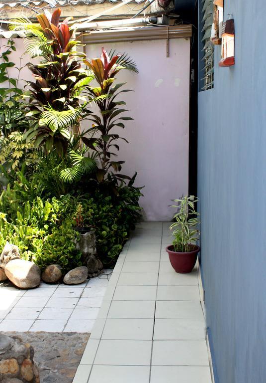 Ximenas Guest House San Salvador Extérieur photo