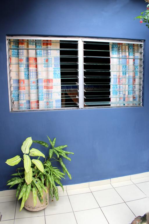 Ximenas Guest House San Salvador Extérieur photo
