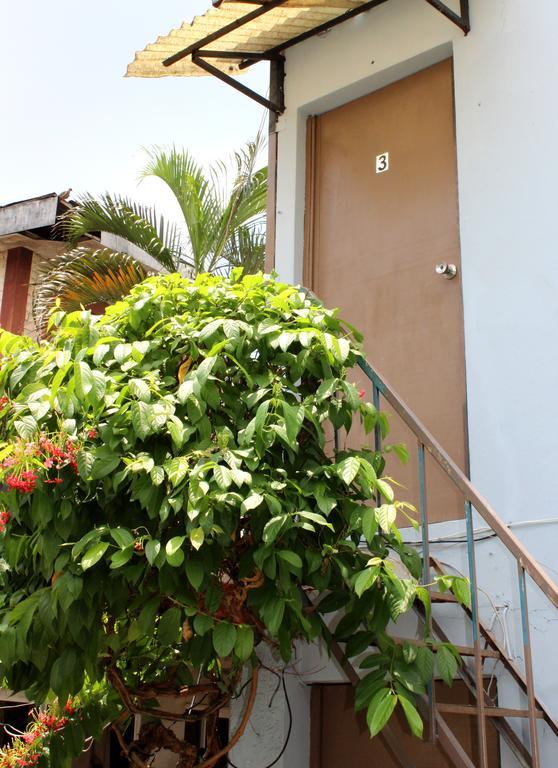 Ximenas Guest House San Salvador Extérieur photo